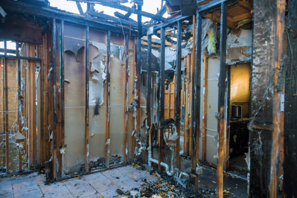 Professional Fire Damage Removal technician working in Palmyra, WI