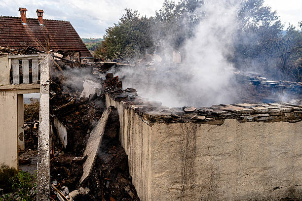 Affordable Fire Damage Removal solutions in Palmyra, WI