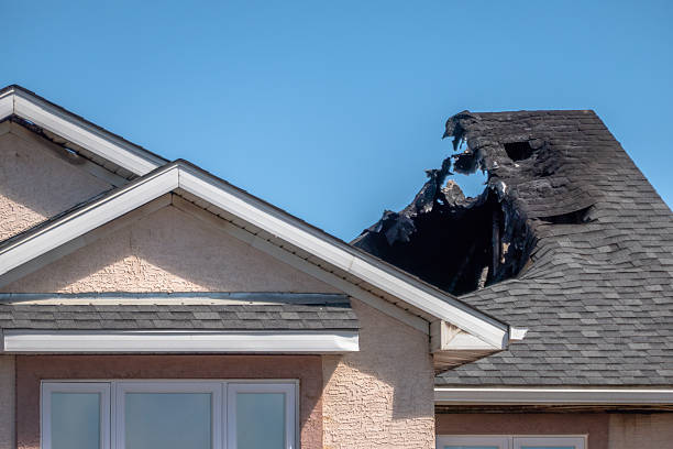 Top rated local Fire Damage Removal specialists in Palmyra, WI